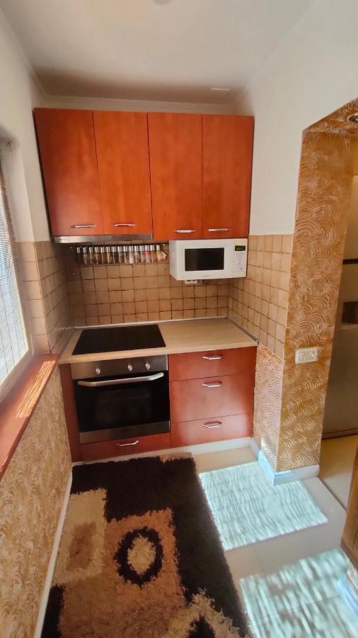 Duck Apartment Бухарест Экстерьер фото