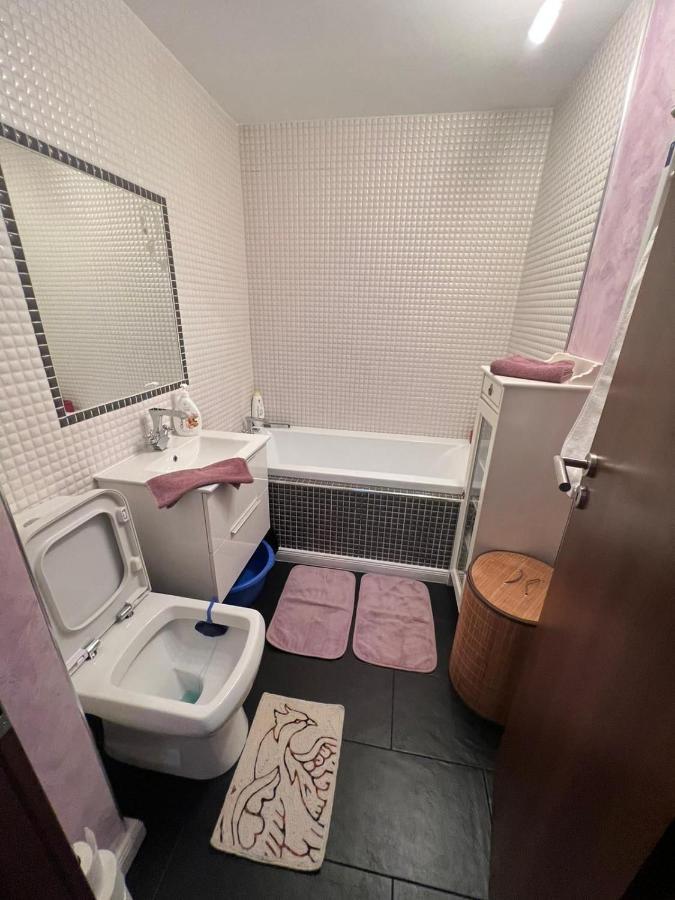 Duck Apartment Бухарест Экстерьер фото